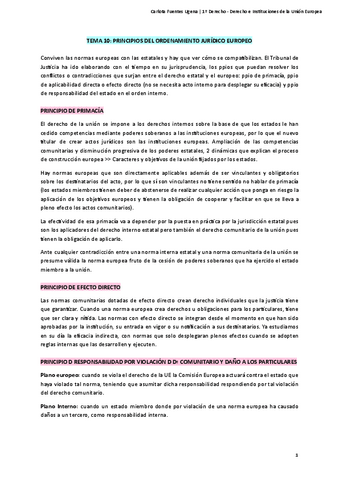 Derecho-e-Instituciones-de-la-Union-Europea-Tema-10.pdf