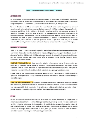 Derecho-e-Instituciones-de-la-Union-Europea-Tema-11.pdf