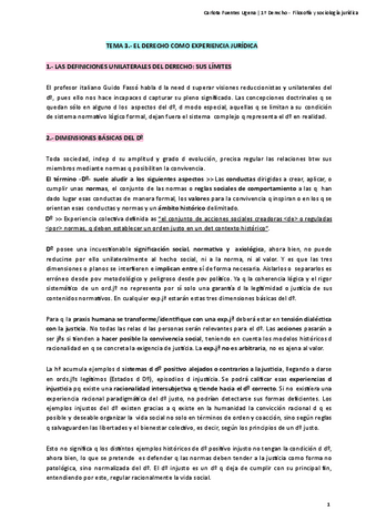 Filosofia-y-Sociologia-Juridica-Tema-3.pdf