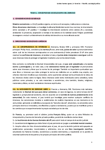 Filosofia-y-Sociologia-Juridica-Tema-6.pdf