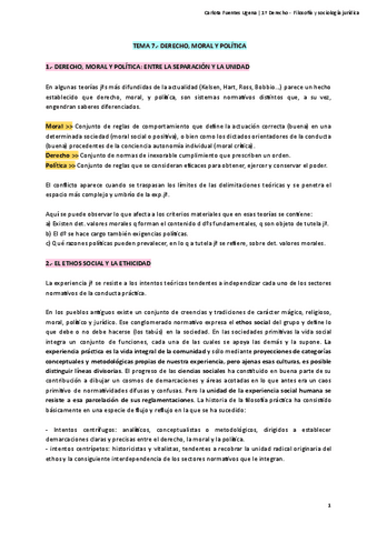 Filosofia-y-Sociologia-Juridica-Tema-7.pdf