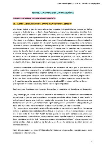 Filosofia-y-Sociologia-Juridica-Tema-10.pdf