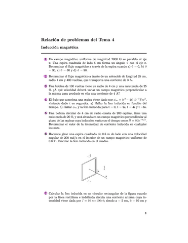 Relacion-4.-Induccion-magnetica.pdf