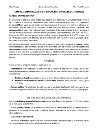 TEMA-19-CAMPYLOBACTER.-ESPIROQUETAS.-LEPTOSPIRAS.pdf