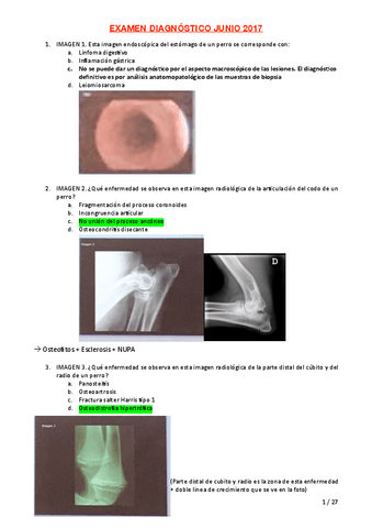 DIAGNOSTICO-EXAM.pdf