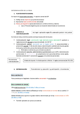 Determinacion-de-la-pena.pdf