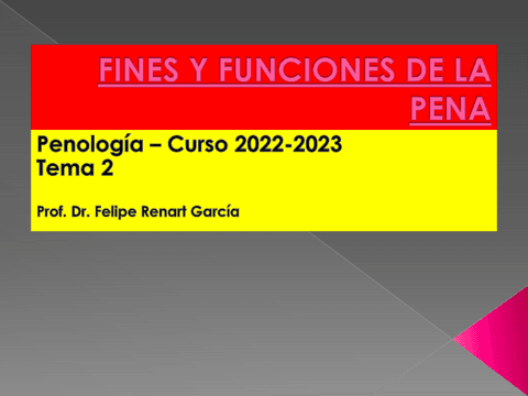 FINESYFUNCIONESDELAPENA.pdf