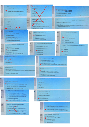 preguntas-examen-2.pdf