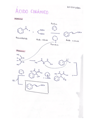 ACIDO-CINAMICO.pdf