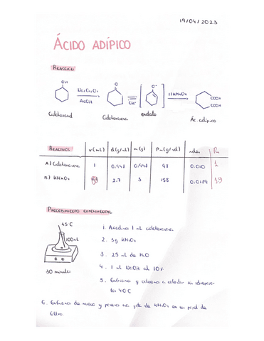 ACIDO-ADIPICO.pdf