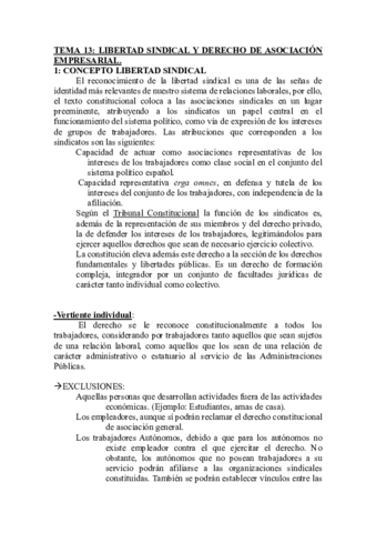 TEMA 13. LIBERTAD SINDICAL Y DERECHO DE ASOCIACIÓN EMPRESARIAL.pdf