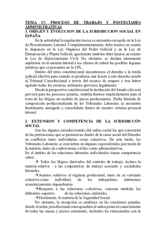 TEMA 17. PROCESO DE TRABAJO Y POSTESTADES ADMINISTRATIVAS.pdf
