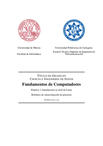 practica1-autoevaluacion.pdf