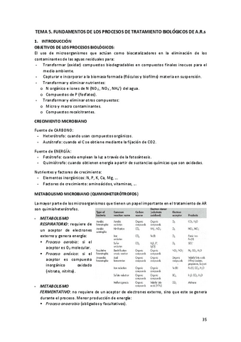 TEMA-5-AMB.pdf
