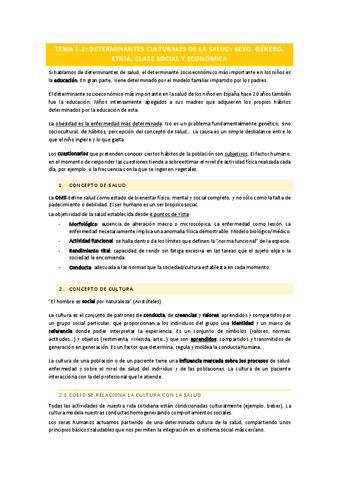PS-TEMA-1.-DETERMINANTES-CULTURALES-DE-LA-SALUD.-SEXO-GENERO-ETNIA-CLASE-SOCIAL-Y-ECONOMICA-1.pdf