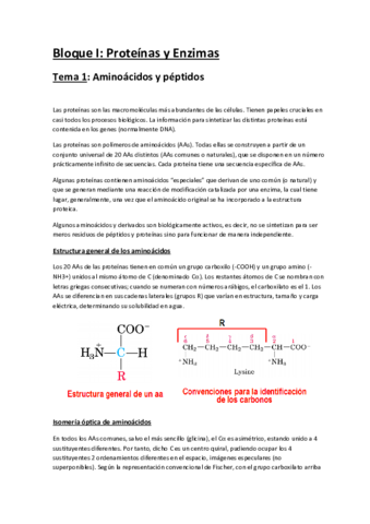 Bloque I.pdf