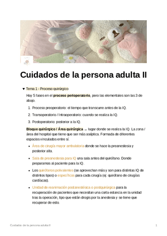 Cuidados-de-la-persona-adulta-II-2023.pdf