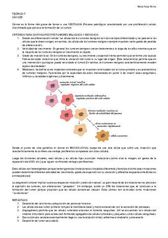 7-CANCER.pdf