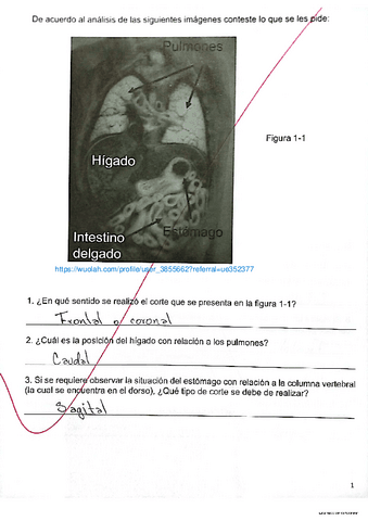 Evidencias-1-y-2.pdf