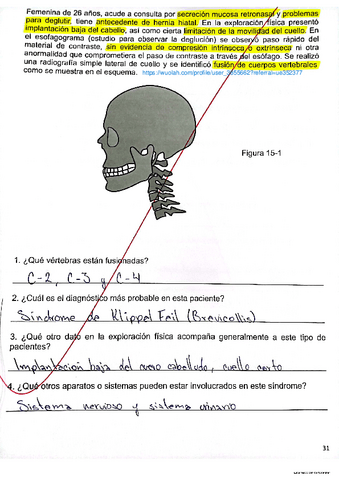 Evidencias-15-y-16.pdf