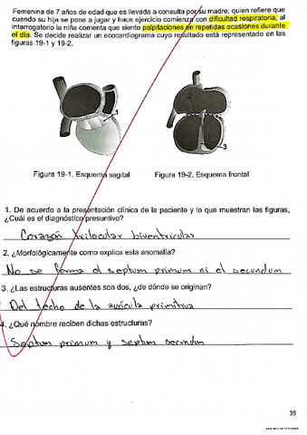 Evidencias-19-y-20.pdf