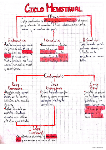 Ciclo-menstrual.pdf