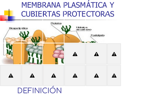 membrana-y-matriz.pdf