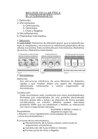 citoesqueleto.pdf
