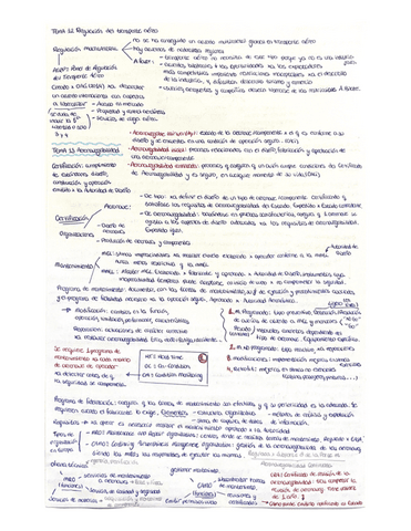 Tema-13-y-14.pdf