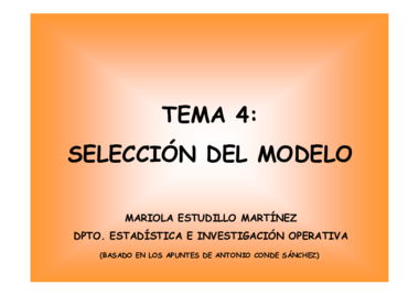 tema4_SeleccionModelo.pdf