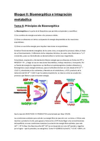 Bloque II.pdf