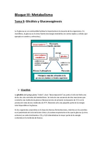 Bloque III.pdf