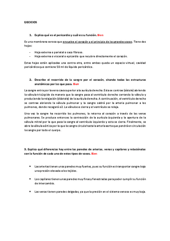 Actividades-Tema-cardiovascular.pdf