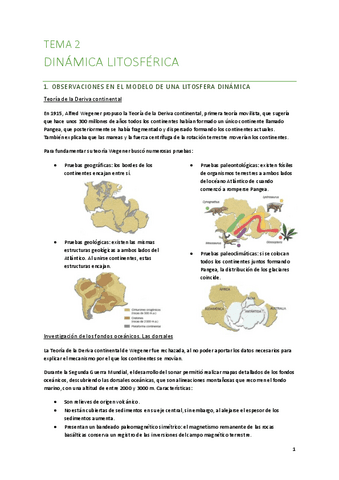 T2-Dinamica-litosferica.pdf