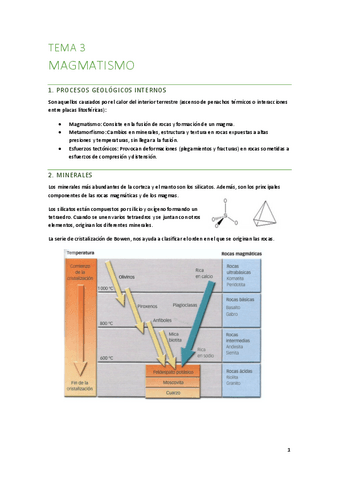 T3-El-magamatismo.pdf