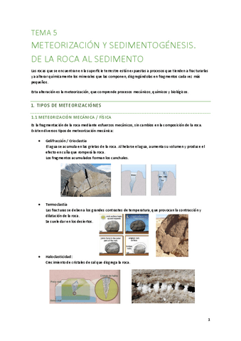 T5-De-la-roca-al-sediemento.pdf