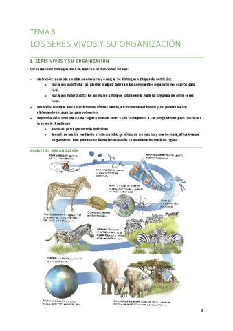 T8-Los-seres-vivos-y-su-organizacion.pdf