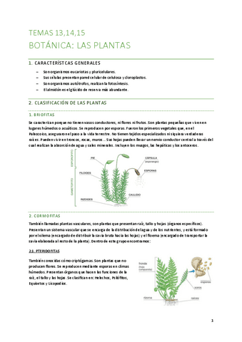 T13J14J15-Botanica.pdf