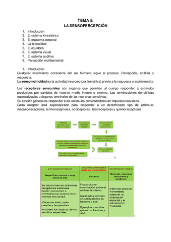 tema-5.-Desarrollo-psicomotor.pdf