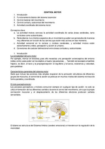 anexo-motor-tema-5.-desarrollo-psicomotor.pdf