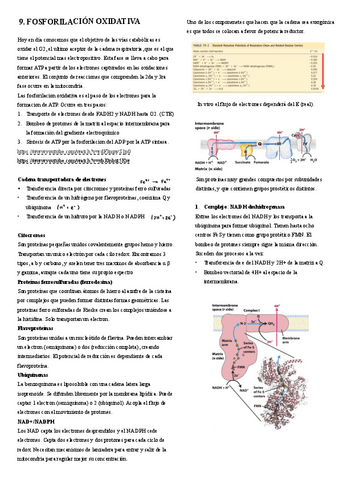 9.-Fosforilacion-oxidativa.pdf