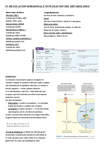 15.-Regulacion-e-integracion-del-metabolismo.pdf