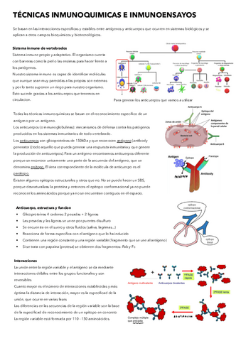 16.-Tecnicas-inmunoquimicas-e-inmunoensayos.pdf