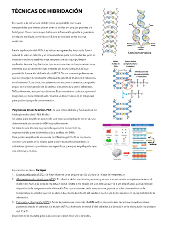 17.-Tecnicas-de-hibridacion.pdf
