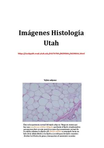 Imagenes-Histologia-Utah.pdf