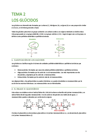 T2-Los-glucidos.pdf
