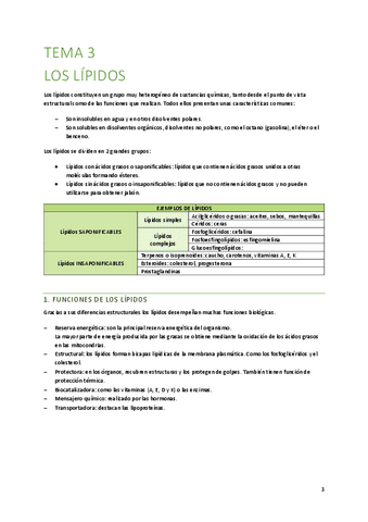 T3-Los-lipidos.pdf