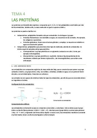 T4-Las-proteinas.pdf