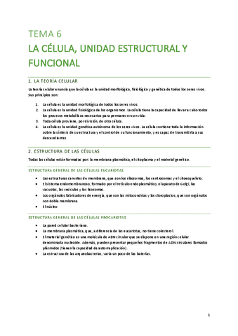 T6-La-celulaJ-unidad-estructural-y-funcional.pdf