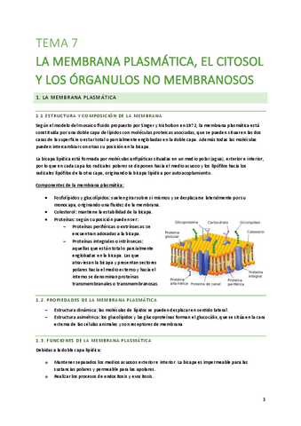 T7-La-membrana-plasmaticaJ-el-citosol-y-los-organulos-no-membranosos.pdf